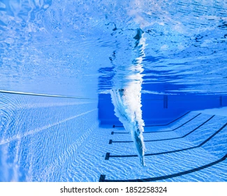 female athlete diving in a swimming pool